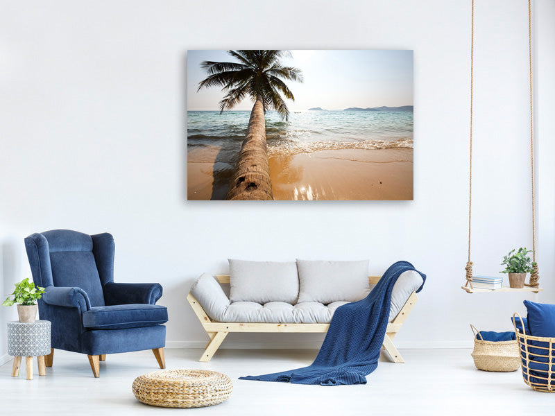 canvas-print-palm