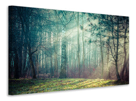 canvas-print-pinewood