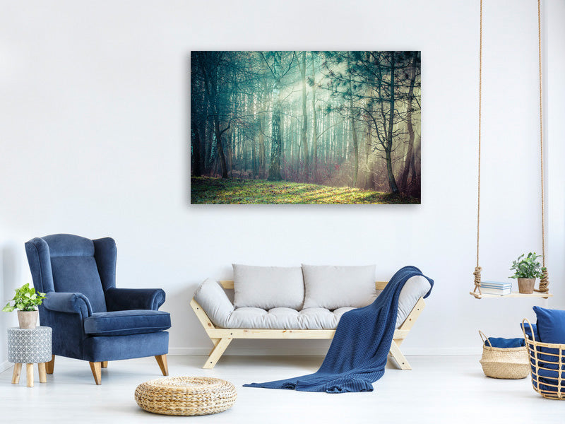 canvas-print-pinewood