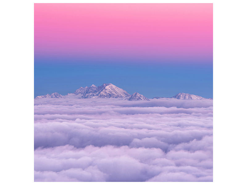 canvas-print-pink-in-the-sky