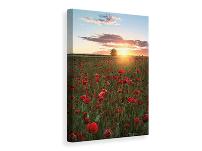 canvas-print-poppy-fields-of-sweden