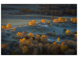 canvas-print-prairie-light