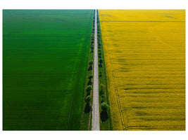 canvas-print-prekmurje-xfy