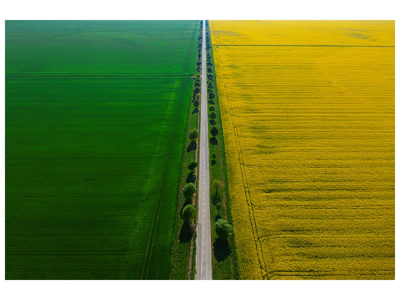 canvas-print-prekmurje-xfy