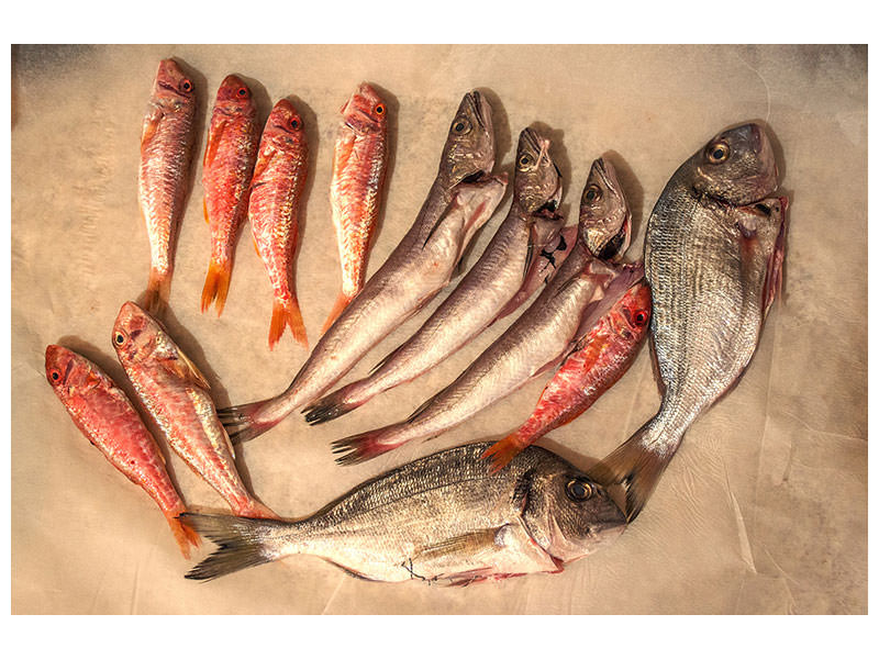 canvas-print-raw-fish-ii