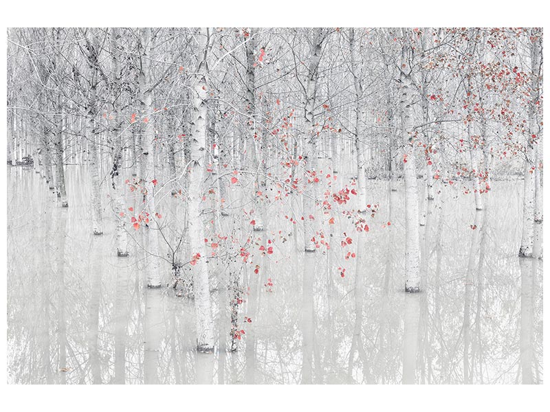 canvas-print-red-a-white-x