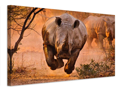 canvas-print-rhino-learning-to-fly-x