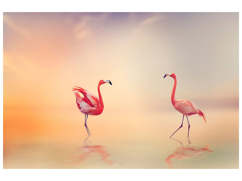 canvas-print-romantic-flamingos