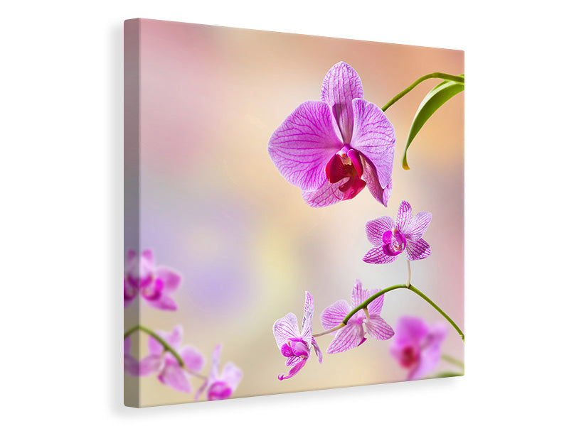 canvas-print-romantic-orchids