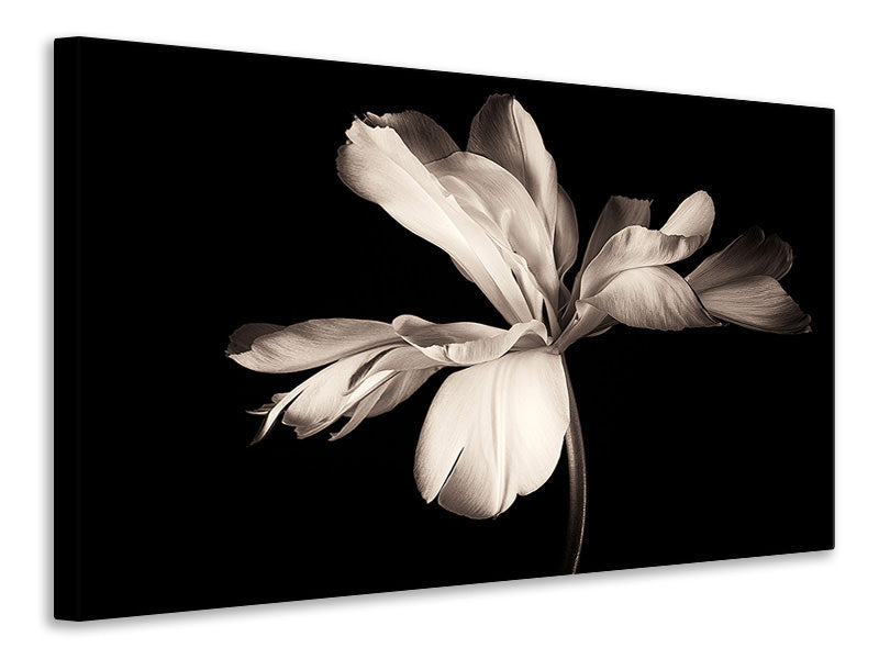 canvas-print-simplicity