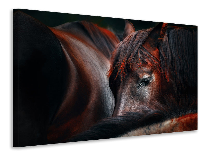 canvas-print-sleep-huddle