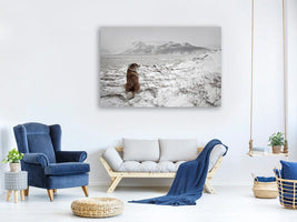 canvas-print-snowstorm-x