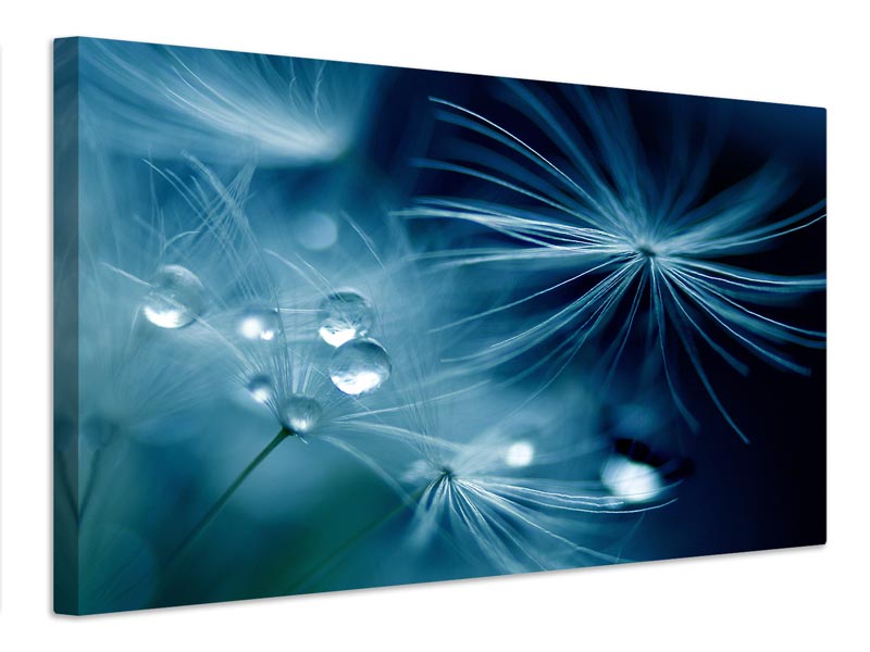 canvas-print-soft-touch-x