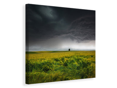 canvas-print-sommergewitter