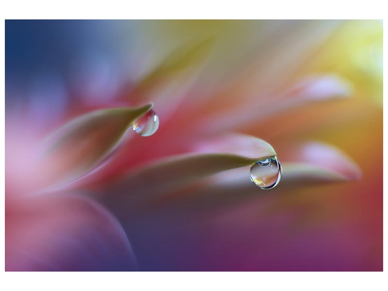 canvas-print-sound-of-colors-x