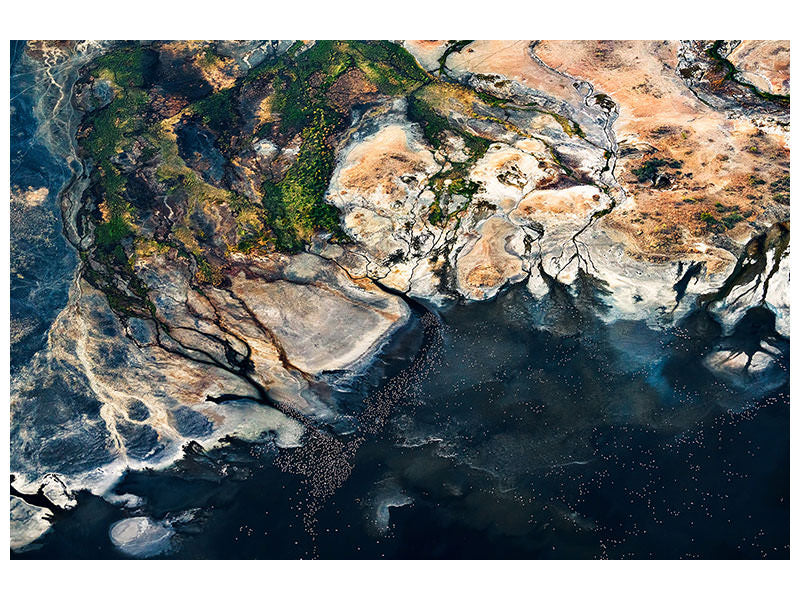 canvas-print-splendid-africa