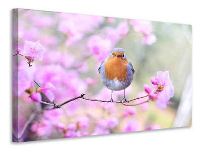 canvas-print-spring-bird