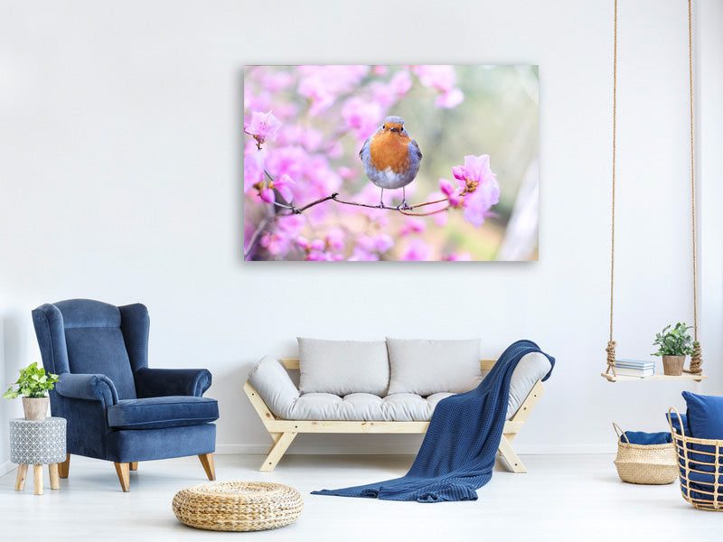 canvas-print-spring-bird