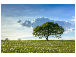 canvas-print-spring-tree