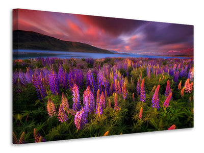 canvas-print-springtime-rush