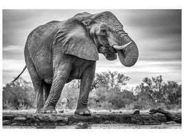 canvas-print-standing-proud