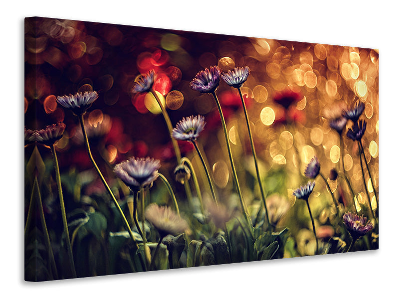 canvas-print-summer-flowers