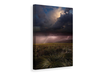 canvas-print-summer-lights