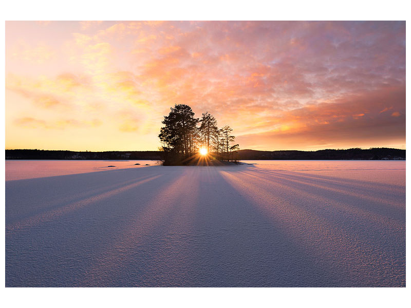 canvas-print-sun-kissed