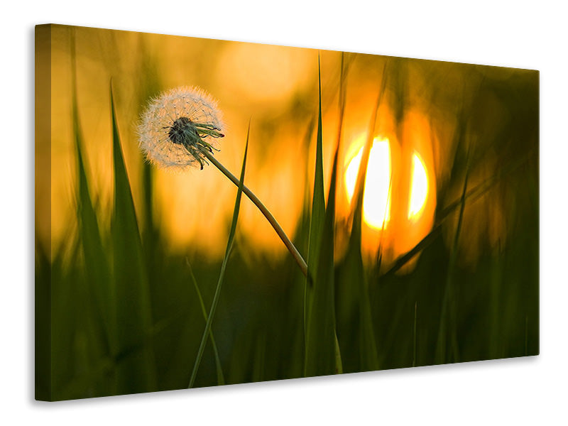 canvas-print-sunbathing