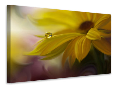 canvas-print-sunbeam