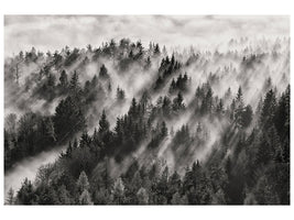 canvas-print-sundance-no-i