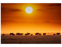 canvas-print-sunrise-parade-x