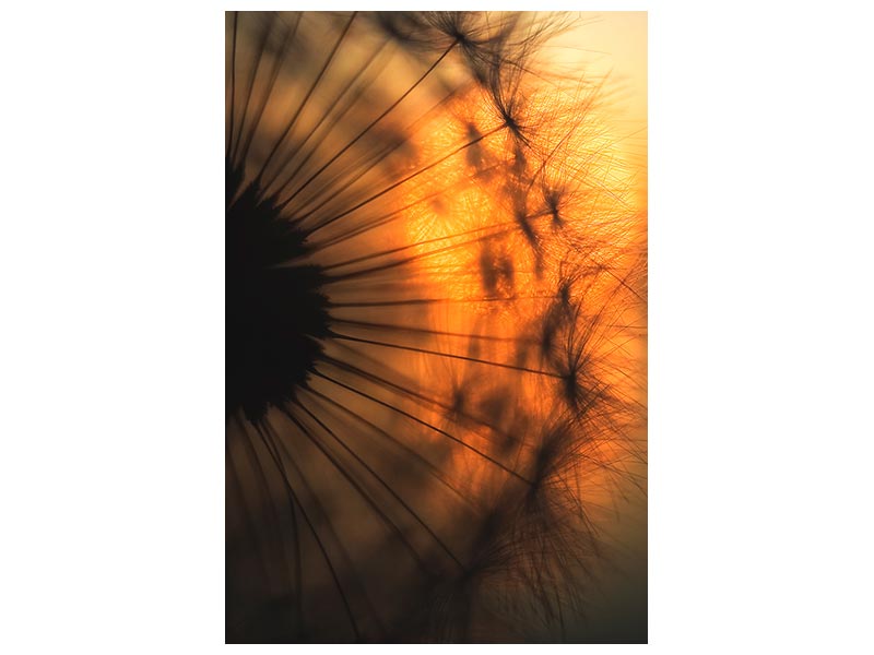 canvas-print-sunset-x