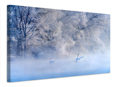 canvas-print-swan-lake-x