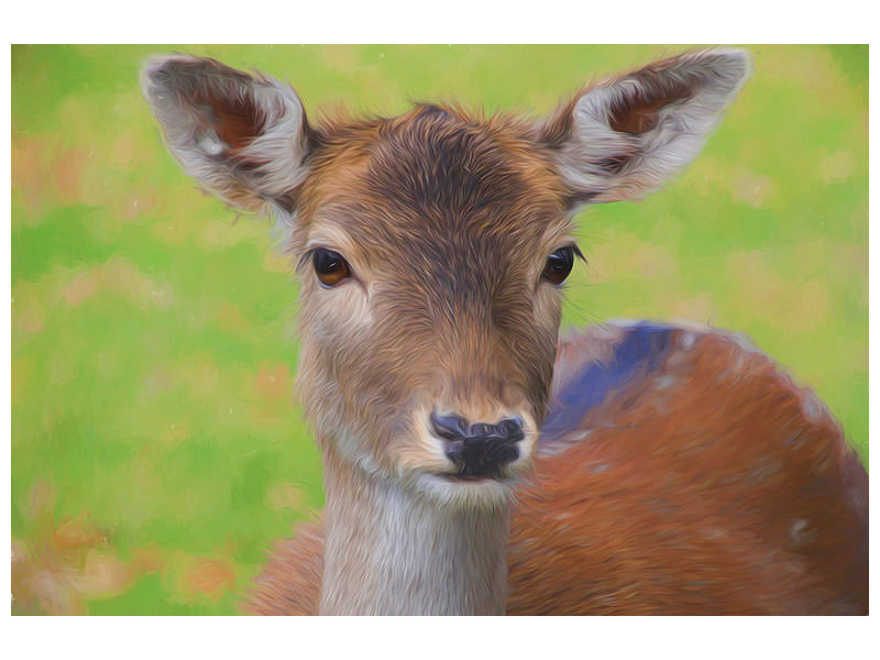 canvas-print-sweet-deer