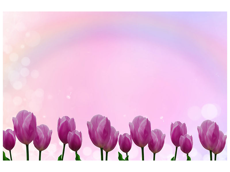 canvas-print-sweet-tulips