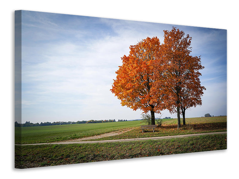 canvas-print-the-3-trees