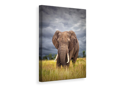 canvas-print-the-big-bull