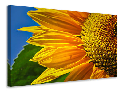 canvas-print-the-bud-close-up