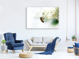 canvas-print-the-bumblebee-and-the-flower