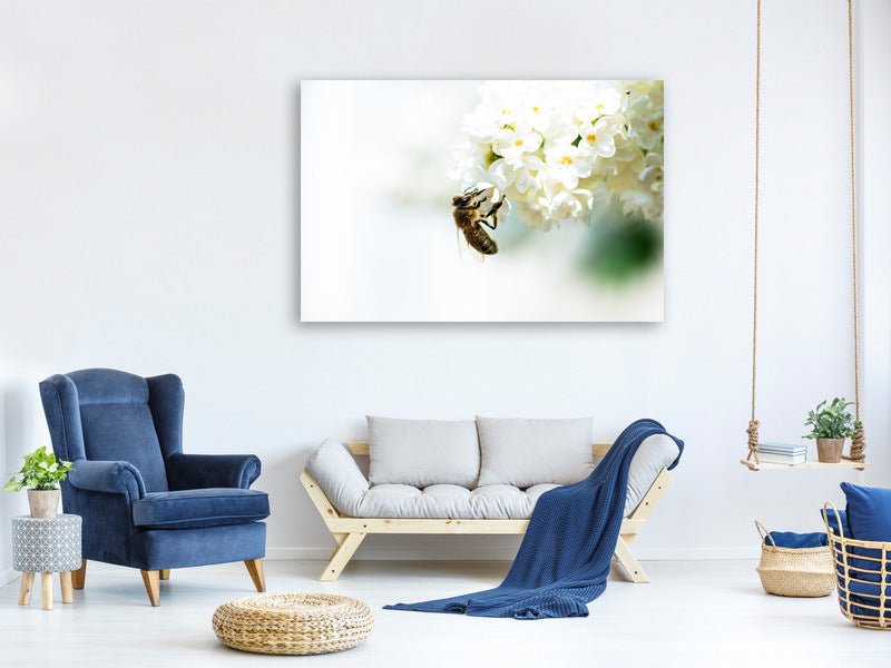 canvas-print-the-bumblebee-and-the-flower