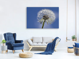 canvas-print-the-dandelion-in-xxl