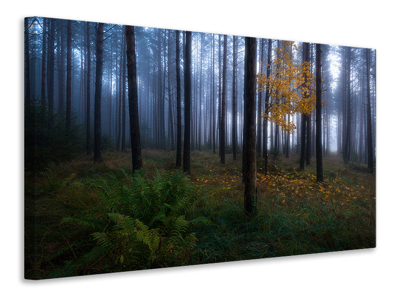 canvas-print-the-dark-light