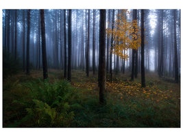 canvas-print-the-dark-light