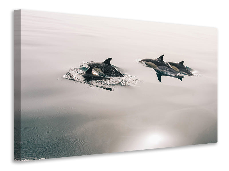 canvas-print-the-dolphins