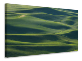 canvas-print-the-earths-fine-skin