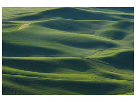 canvas-print-the-earths-fine-skin