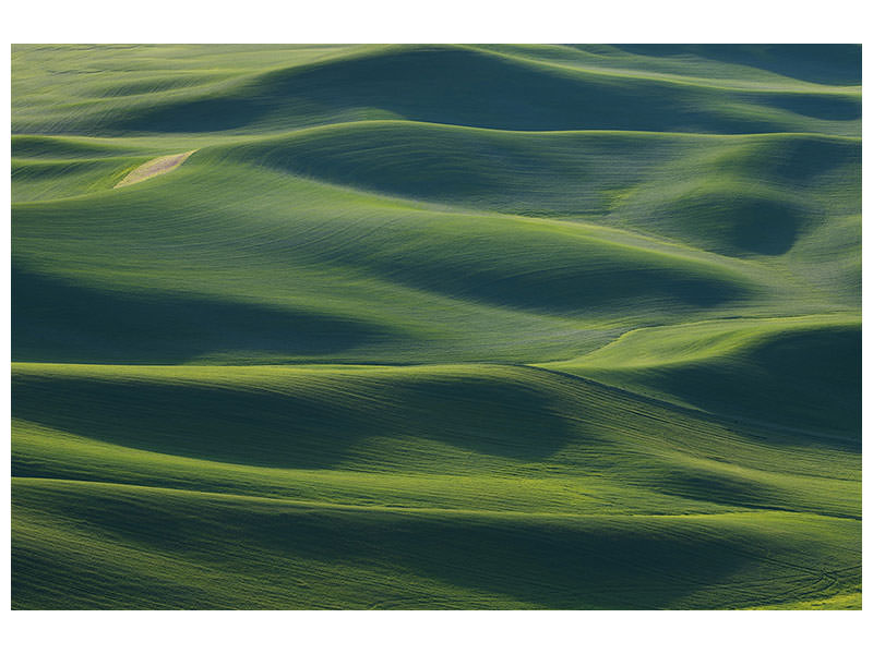 canvas-print-the-earths-fine-skin