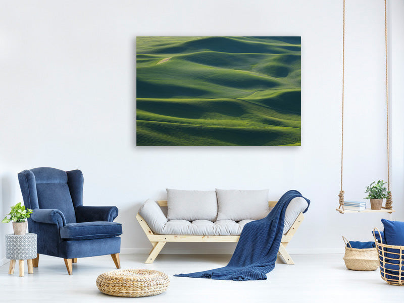 canvas-print-the-earths-fine-skin