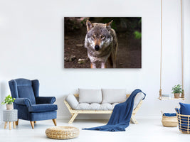 canvas-print-the-evil-wolf